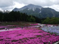 武甲山ハイキングと羊山公園の芝桜