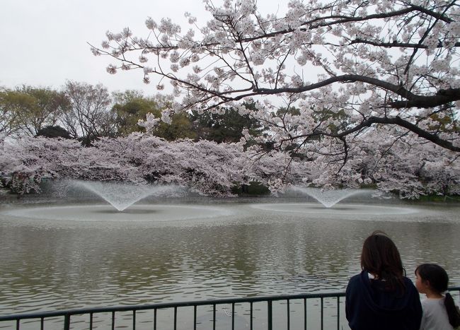 多治見の虎渓山・瀬戸の定光寺に続き、この日最後に訪れたのが名城公園でした。夕刻・曇天でしたのであまり良い写真は撮れませんでしたが記録に残しておきたいと思います。