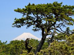 山中湖別荘訪問記　（１）沼津御用邸記念公園で時間つぶし