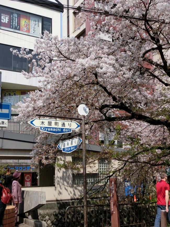 一年ぶりの京都です。所用にかこつけて、一泊だけの一人旅。<br />ジェットスターのWセールで、格安チケット（往復　9580円）が取れたから。<br /><br />この時期、桜にまだ間に合うの？ネットでは「祇園の夜桜」がもう満開だって。<br />関空のリムジンバス乗り場（2550円）でも　話題は桜のこと。<br /><br />円山公園の「祇園の夜桜」に一目ぼれして、いつか満開の時に来てみたい！って思ったのは、もう何年も前のこと。<br />それから毎年来てはいたものの、用事のついでだから桜の時期に遭遇しなくって。<br /><br />八条口からホテルまでは、タクシーで1200円くらい。<br />この近くには以前も宿泊していて、いろんなところへのアクセスがいい。<br />会社の補助を使って朝食付きで7000円てのも、けっこうお安いでしょ？<br /><br />今回の目的は<br />①祇園の夜桜に対面<br />②キルフェボンに行く<br />③志津屋のカルネを食べる<br />④御朱印帳の購入<br />⑤木屋町・先斗町・白川の通りを歩く<br />⑥鴨川の河原を歩く<br /><br />ってまぁこんな感じですけど、なにしろホテルに着いたのが16：30頃、明日の出発まで24時間もない状況で、どのくらい達成できるのやら・・・<br />