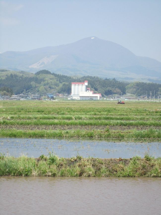 泉ヶ岳山麓に春の息吹を探すドライブの旅 仙台 宮城県 の旅行記 ブログ By はくさんちどりさん フォートラベル