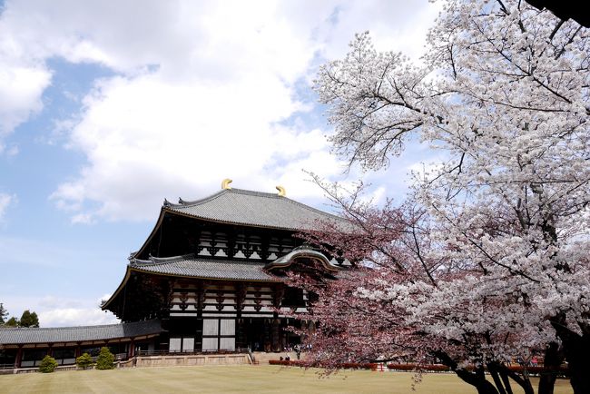 2014.3フィンランドの友人家族と熱海・京都・奈良旅行7終-東大寺大仏殿，ナチュラルキッチン ネロ，帰京