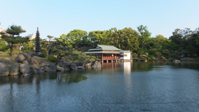 今年は、「首都圏で桜が満開」なんて言われた時は、ちょうど韓国に旅行中。<br />翌週の土日、元上司の定年祝いの会に声が掛かり高知に行っていた。<br />今年の高知は、日本で一番早く桜が咲き、もうとっくに桜の見頃は過ぎていました。<br /><br />「今年はあんまり桜見てないなぁ。なんか代わりに・・・」ということで、「ツツジでも見に行こう！」<br />ツツジの名所は沢山ありますが、確か「根津神社」の「つつじまつり」があった筈。「六義園」「根津神社」「旧岩崎邸庭園」と見ましたが、最後に「清澄庭園」に向かいます。<br /><br />①六義園　↓<br />http://4travel.jp/travelogue/10880344<br />②根津神社↓<br />https://ssl.4travel.jp/tcs/t/editalbum/edit/10880352/<br />③旧岩崎邸庭園<br />http://4travel.jp/travelogue/10880359