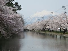 弘前の桜