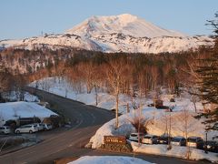 雪と早春の花々を楽しむ ＧＷの富良野＆旭岳温泉へ