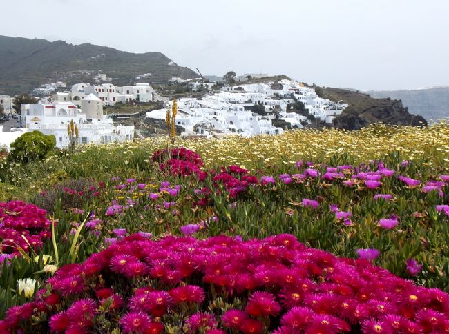 サントリーニ島では北の端にあるイアに４泊しました。<br />イア・・・物価が高く見事に観光地と言う感じですが、ここほど可愛らしい町を他に知りません。<br />アマルフィのポジターノに勝る美しさだと思います。<br /><br />サントリーニ島ではフィラの町のほうが交通がずっと便利で２０年近く前にサントリーニに来た時にはフィラに泊まりました。<br />が、イアの町はフィラよりずっと美しいと思います。<br />その理由の第一はイアは電線を地中に埋めているらしく、街中に電信柱も電線もほとんど見当たりません。<br />そして第二の理由は青い教会の多さ。<br />もう一つ、この時期はフィラに比べると雲がかかることが少ないことも利点でしょう。<br /><br />ただ欠点は物価の高さですね。<br />ホテルもレストランもフィラに比べて高いと思います。<br />でもこのおとぎの国で過ごすためには仕方のないことかもしれませんね。