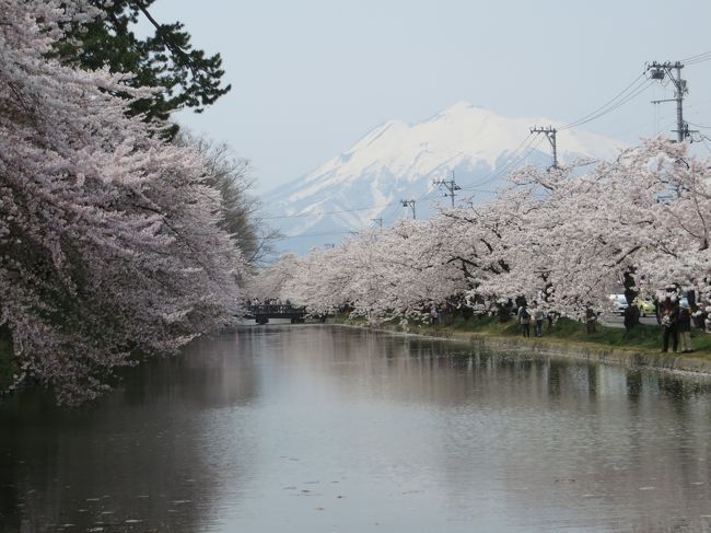 前日の角館に続き、桜の名所・弘前に向かいました。<br /><br />弘前城の桜は圧巻という言葉以外見当たりませんでした。<br /><br />天気にも恵まれ、春本番です。