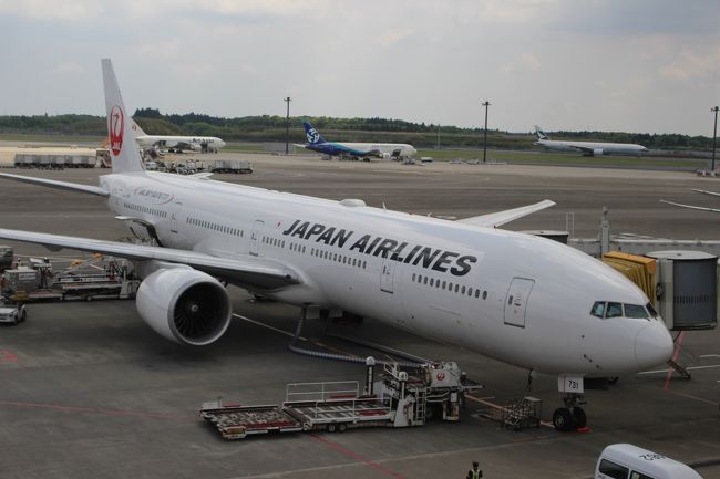 日本航空のファーストクラスの成田～シカゴまでの搭乗記です。<br /><br />もちろん特典航空券です♪<br /><br />この区間には2014年1月より最新の「SKY SUITE 777(スカイスイート777)」が導入されました。<br /><br />2013年6月の予約開始と同時に予約を入れるもののニューヨーク線は満席・・・<br />しかたなくシカゴ線で予約を取りました。<br /><br />SKY SUITEが導入されるのを期待しつつ！！！<br /><br />お値段が高いのでJALは10年ぶりくらいに乗ります。<br />しかもはじめてのファーストクラスです♪<br />場違いじゃ無いかしら？とドキドキしながらの搭乗です。<br /><br /><br /><br />特典航空券の問題点<br /><br />ゴールデンウィークとはいえ約１年前からでも予約がなかなか取れない・・・<br /><br />当初は燃油サーチャージが無料のアメリカン航空のビジネスクラスで予約をしようと思ったもののニューヨーク、シカゴ、ダラス行きはこの時期は席を提供してない模様・・・<br />ソウル発でも残数がゼロ・・・ケチね。<br /><br />一生懸命マイルを貯めてる方は使い方も考えながら貯めてくださいね。<br /><br /><br />スケジュール<br />5/2 JL010　成田11:10-シカゴ09:05　B777-300ER<br />5/6 JL007 ボストン13:25-成田15:55+1 B787-8<br />JALマイレージバンク　95,000マイル+燃油と諸税\55,360<br /><br />