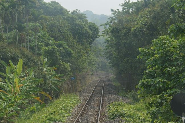  旅のきっかけは動画サイトで見た緑の木々のトンネルを行く列車。平渓線十分駅に以外にもこんなに面白そうな車窓があるのだと知ったこと。過去２回の台湾訪問では訪れることもできなかった日月潭も合わせ台中をベースに３泊４日の一人旅に出ました。