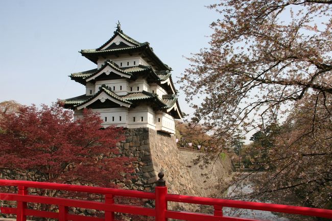 今年から弘前城のお堀の改修が行われ、十年近くはお堀と桜が見られなくなるとのことなのでお花見に行って来ました。