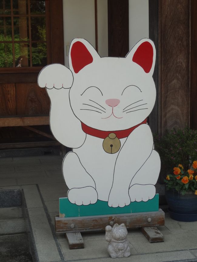 先日、秩父神社にてご朱印デビューをようやく果たした私。<br />職場の同僚にもご朱印集めをしている方がいて今度どこかにって話していたら<br />「テレビで招き猫のお寺やってたよー」って「じゃあ行こうか!」と<br />休みは同じ日に入れてあったので話はあっさりまとまりました。<br />豪徳寺を調べると、世田谷八幡宮、松蔭神社。<br />美味しいものはかかせない〜。<br />色々検索してくれる友人なのですっかりおまかせ。<br /><br />当日、朝からまぶしいくらいのいいお天気!(日焼けが怖い)<br />天気予報では午後から突然の雨と言っていましたが・・・<br />私は本来結構な晴女!!!<br />うまい具合に雨をすりぬけ傘を使わず過ごせました。<br />世田谷はコンパクトに回れたし、思いがけず行ってみたかった新橋烏森神社にも行けて<br />有意義な1日でした。<br />