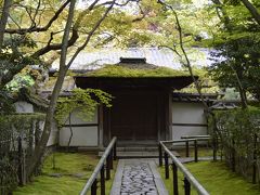 新緑の高桐院でお抹茶を頂く in 京都