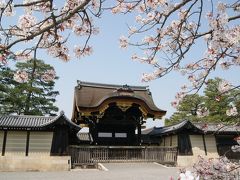 京都春爛漫の桜行脚 ⑤ ー 長い伝統文化を有する京都御所を訪ねて