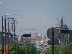 久しぶりに見られた富士山