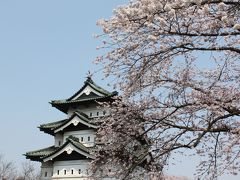 2014　弘前城の桜