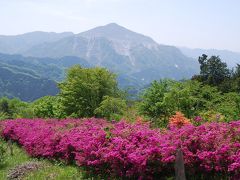 久しぶりの日向山ハイキング①芦ヶ久保～山の花道～日向山