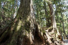 世界遺産・紀伊山地の霊場と参詣道（2014.5 高野山の旅③～奥ノ院）