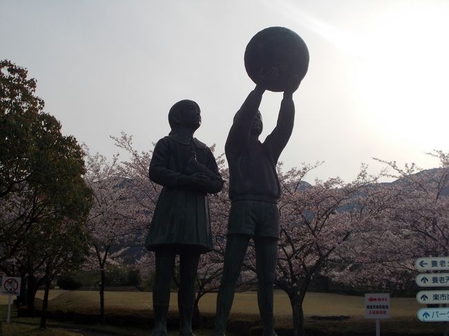 揖斐川町の谷汲山華厳寺・池田町の霞間ヶ渓・垂井町の相川水辺公園と徐々に南下し、この日最後に訪れた養老町の養老公園の桜鑑賞を記録に残しておきたいと思います。