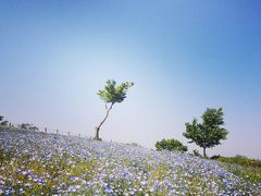 ひなたぼっこin馬見丘陵公園