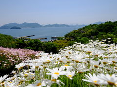 有明浜～フラワーパークうらしま～志々島の大楠