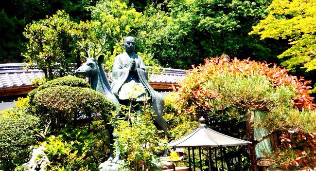 立木山は、滋賀県大津市、石山寺、南郷付近にある、立木山・安養寺(立木観音)のこと。お守りにお札を収めると共に、弘法大師さんに会いにやって来ました。新緑の季節、天気も良く、空は晴れ渡り、湖は青く、山は緑。最高の日曜日です。<br /><br />立木観音は、平安時代前期、山に光を放つ霊木を見つけられた弘法大師が瀬田川の急流で渡れずにいる所、白い雄鹿が現れて、大師を背中に乗せて川を跳び越えられ、霊木の前まで導き、雄鹿は観世音菩薩のお姿になられました。大師は自身が42才の大厄の年にあたっていたため、観音さまに導いていただいたのだと歓喜され、自身のみならず、未来永劫の人々の厄難・厄病を祓おうと発願し、霊木を立木のままに聖観世音菩薩を刻まれ、一宇の堂を建てて安置したと伝えられています。(立木観音ホームページより)