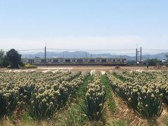 高崎線沿線散歩：岡部駅周辺