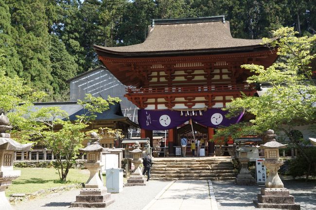 一宮巡詣～紀伊①と世界遺産「紀伊山地の霊場と参詣道」