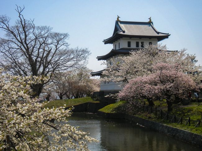 【憧れのカシオペアの旅（松前公園）】<br />100名城のスタンプを求めてきました。<br />早咲きの桜も見ごろになり、いい時期にこれました。<br />ただ、約250種類の桜があるとのことでまだ咲いてないところもありました。<br /><br />〔旅の行程〕<br />カシオペア〜函館朝市にて朝食〜松前〜五稜郭タワー〜ホテル