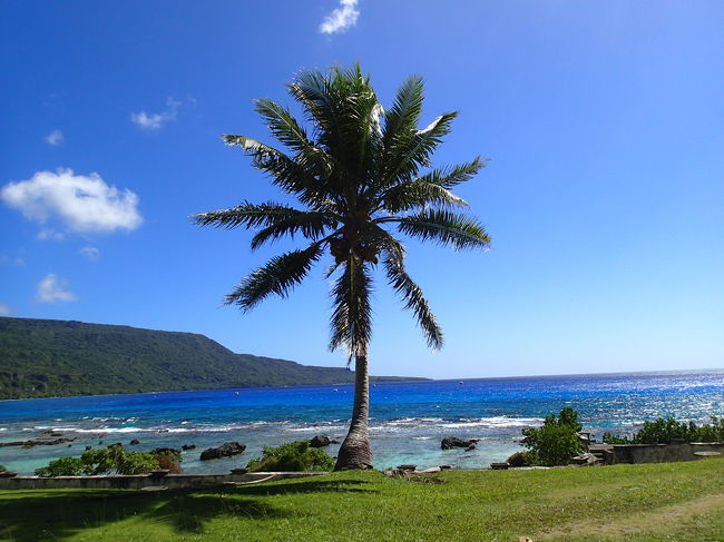 正月の休みを利用して3泊4日のロタ島ダイビング旅行に行ってきました。<br />通常はグアムかサイパンで乗り継ぎですが、チャーター便が出ている時期だったのでどこにも寄らず直行。<br />のんびりとした田舎で、ゆったりと過ごすことができました。おせちもお雑煮も何もないお正月だったけど、たまにはこういうのもいいですね。<br />帰りは乗るはずだった飛行機にトラブルがあったとかで、何もないロタ空港で3時間位待たされ、空港備え付けのミネラルウォーターに行列ができるという不思議な光景もありました。