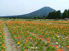 ダイジェスト版◆2014年5月・ＪＡＬで行く宮崎の旅