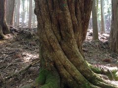 若草山と春日山原始林