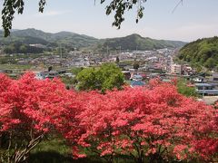 花が満開　福の島　つつじ