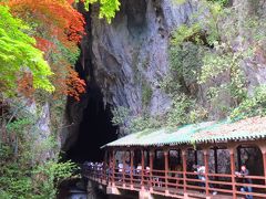 日本屈指の大鍾乳洞　・・・　“秋芳洞”　と　新緑清々しい　・・・　“秋吉台爽やかハイキング”