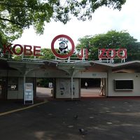 動物園・水族館をめぐる旅　一日目（王子動物園）