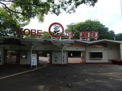 動物園・水族館をめぐる旅　一日目（王子動物園）