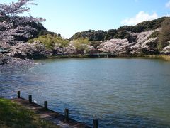 春を撮影～京都・愛知～