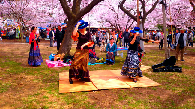 春を撮影に～高藤城址公園・春日公園～