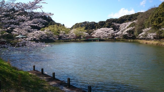 春を撮影～京都・愛知～