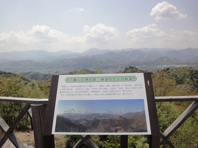 山の会の人達と山梨県の八重山五感の森（虎丸山～能岳～八重山～秋葉山～根本山）５座縦走してきました。<br /><br />この森で五感（みる、きく、かぐ、さわる、あじわう）を鍛えて楽しんでもらえるように植物を植えたと上野原市観光協会のパンフレットに書いてありました。<br />どんな植物に出逢えるか、はじまり～はじまり～！<br /><br />2014年登山記録<br />1.13 幕山<br />1.27 大山阿夫利山神社～見晴らし台～日向山<br />2.11 長瀞アルプス～宝登山<br />4. 5 浅間山～権現山～弘法山～吾妻山<br />4.19 天覧山～多峰主山<br />4.26 八重山五感の森（虎丸山～能岳～八重山～秋葉山～根本山）