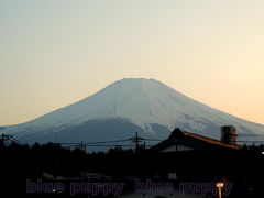 初めての山中湖です。念願叶って富士山見ました。  　里帰り編④