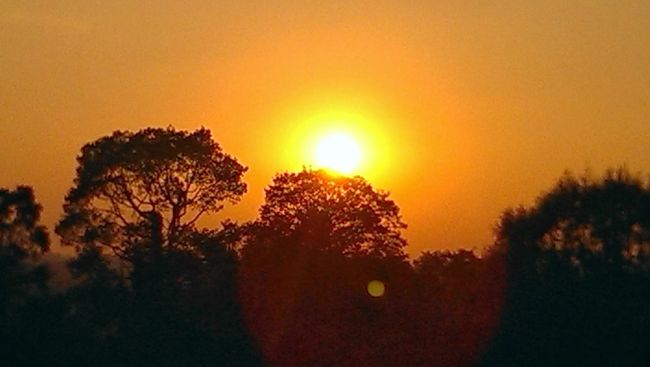 アンコール遺跡観光2回目で、ようやく夕日の鑑賞に成功。<br /><br />前回は、プノン・バケンで好天に恵まれながら、日が沈む直前になり急転直下、雨が降り出し太陽は雲に隠されるという悲劇に。<br /><br />今回は、プレ・ループで挑戦し、見事にサンセット撮影に成功しました。<br /><br />夕日の撮影の難しさを実感しながらカメラの設定をいろいろ試しつつ、撮影に挑戦しました。<br />プレ・ループの夕日撮影は、木々の生い茂るジャングルに沈む太陽と陰になるジャングルのシルエットを楽しみながらの撮影でした。<br /><br />たくさんの世界中の観光客と撮影ポイント争いをしつつ、すばらしい景観を共有できました。