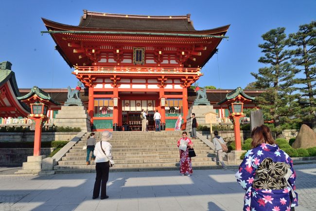 ゴールデンウィーク明けにJR東海がキャンペーン中の「うるわしの奈良」ツアーを利用してまったりと日本の古都の雰囲気を味わってきました<br /><br />奈良は同じ古都の京都に比べると派手さや華やかさはありません。しかし行って見ると過密で何かと気ぜわしい東京に住んでいる我々夫婦にとっては天平のときと変わらず悠久の時間が流れているような奈良の街は心休まる思いがしました<br /><br />「うるわしの奈良」ツアーはホテルと新幹線がセットになったプランで、時間帯が限られてはいますが「のぞみ＆ひかり」が利用できます。<br /><br />宿泊数は1〜3泊から選べ、ホテルはホテルフジタ・奈良とホテル日航・奈良のいずれかからセレクトできます<br />リタイヤして時間にはゆとりがある我々は3泊プランを選択*、ホテルはJRと近鉄の両駅が徒歩圏のホテルフジタにしました<br /><br />*2泊と3泊の価格差は2000円、これに対し都合の良い新幹線への変更料金は5,200円増し（片道）<br /><br />出発日は過去の統計から一番雨の確率の少ない連休明けに決定、善は急げとばかり4月上旬には申し込みました<br />結果的は3泊4日の全日程中お天気に恵まれ新緑と花一杯の古都を満喫<br /><br /><br />全体の旅行スケジュールは以下のとおりです<br /><br />5月7日　　品川発12:07のぞみ227号〜京都着14:17<br />　　　　　着後西本願寺及び伏見稲荷大社参拝<br />　　　　　ＪＲにて奈良に移動、ホテルフジタ（泊）<br /><br />5月8日　　AM 春日大社、PM 興福寺参拝<br />5月9日　　AM 斑鳩・法隆寺参拝、PM 西の京・薬師寺参拝<br />5月10日　　AM JRにて京都に移動、着後梅小路蒸気機関車館見学<br /><br />今回は初日に立ち寄った京都・伏見稲荷大社編です<br />京都の初詣場所として有名ですが最近は外人さんにも人気とか、、<br />二人とも訪れたことがないのでこの機会に立ち寄りました<br />　<br />なお写真及び記事は随時更新いたします<br /><br /><br /><br />
