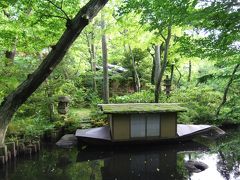 日本橋界隈と表参道(根津美術館の庭)散策・代々木公園のバラ