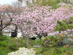 「　北の桜　巡り　函館　～洞爺湖　～　大沼公園　３日間　＜その2＞　」　2014