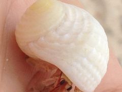 再び宮古島へ 2日目