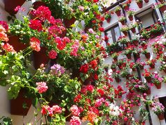 MILFLORES コルドバ パティオ祭で mil flores（千の花々）に埋もれる　-1-　全パティオ紹介