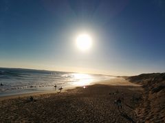 夫の出張について行っちゃいました～～メルボルンちょこっと滞在記（８）フィリップ島