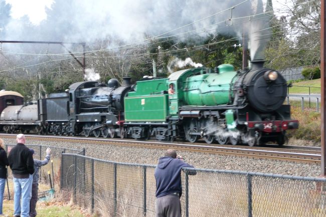 シドニー近郊とBlue MountainsでＳＬ列車の撮影をしました。<br />さらにThe NSW Rail Transport Museumを見てきました。<br /><br />１月に渡豪したときは食中毒で散々でしたのでリベンジです。