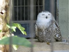 ＳＦＪで福岡・熊本のたび① 福岡動物園と那珂川遊覧