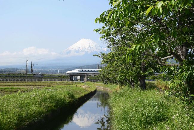 自転車でGO！<br />この時期、霞んでいてあまり見えない富士山が見えました。<br />そこで、富士山・田植え後の田んぼと新幹線を撮ろうと自転車で走って来ました。<br /><br />★浮島が原自然公園のHPです。<br />http://ukishimagahara.net/index2.html